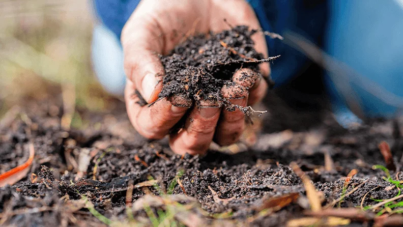 web_agricultura_regenerativa_abono_f3526f2ab5